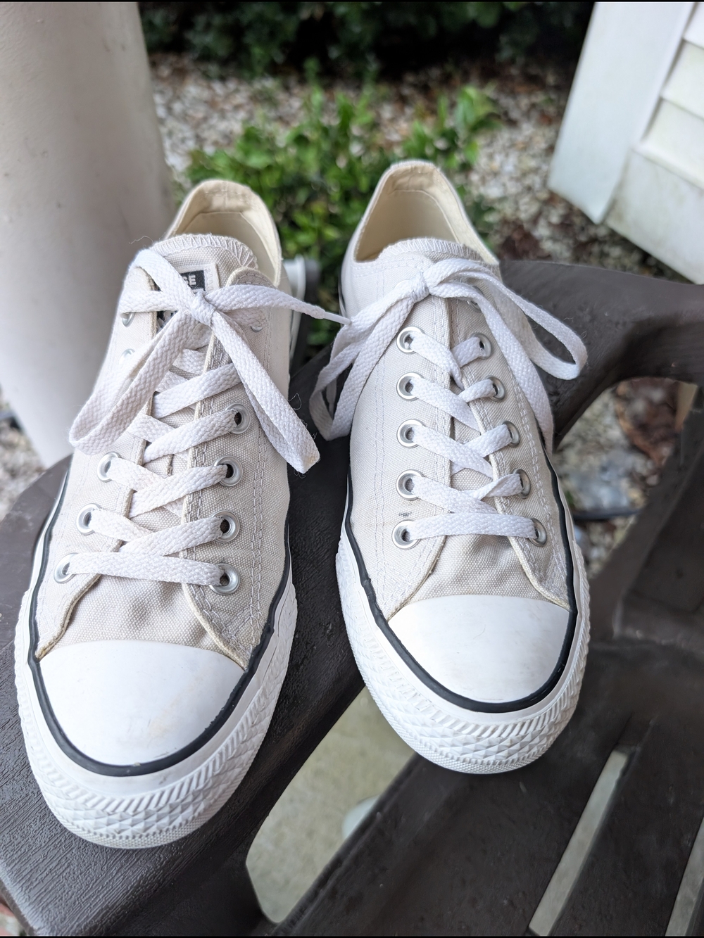 Converse Low Top Canvas Sneakers in Very Light Gray
